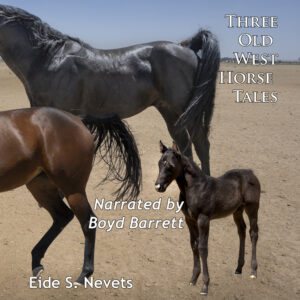 3 HORSE TALES COVER